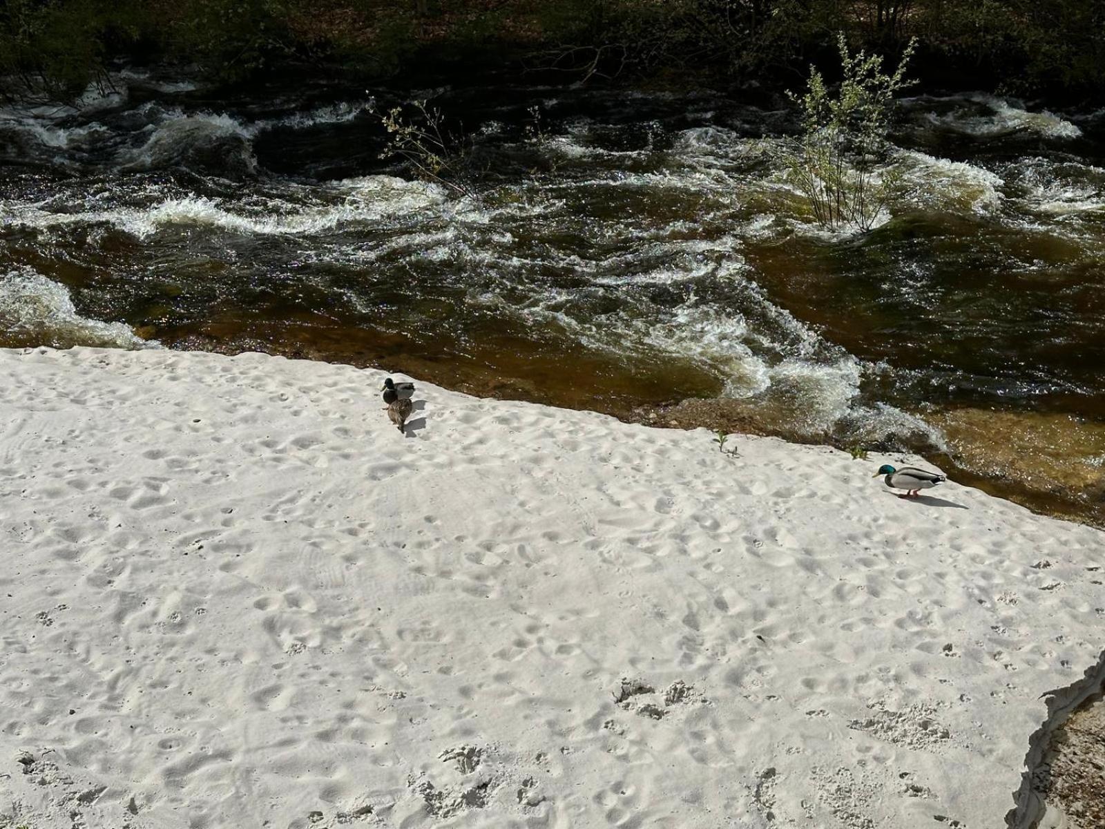 Horský Penzion U Splavu Josefův Důl Exteriér fotografie